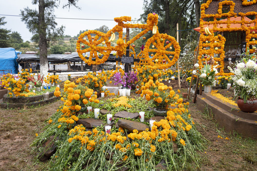 Bete-Marques-Istock-Feria-de-las-Flores-de-Cempasuchil-iStock-1179881895-1000x668 - 5 planes para celebrar el Día de Muertos en la CDMX 