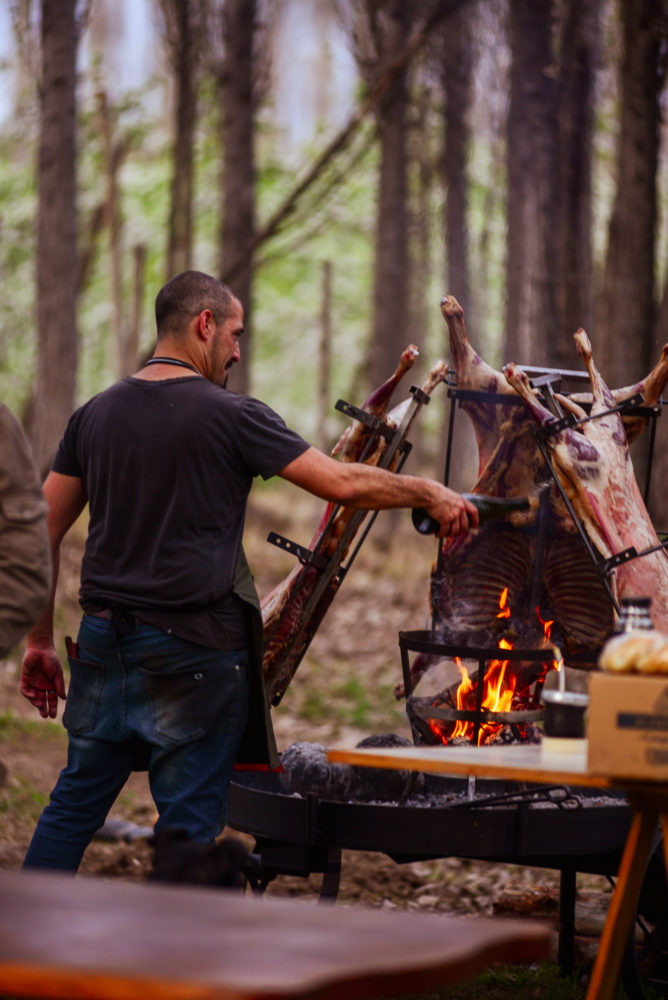 Pulku-1-668x1000 - Pasé unos días en Villa Regina, la perla del Valle de Río Negro (Argentina)