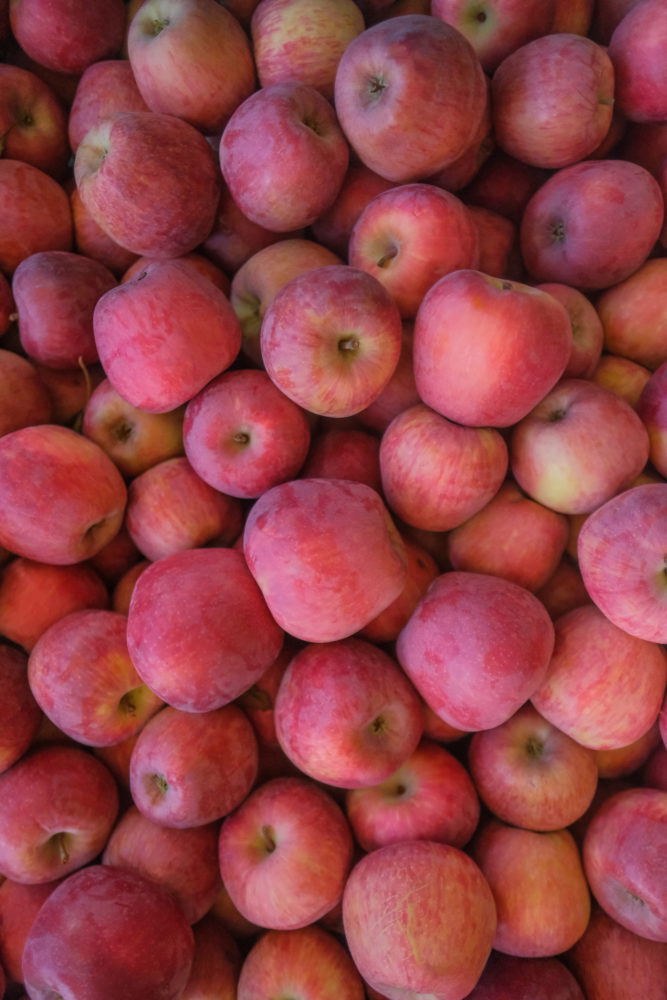 Pulku-5-667x1000 - Pasé unos días en Villa Regina, la perla del Valle de Río Negro (Argentina)