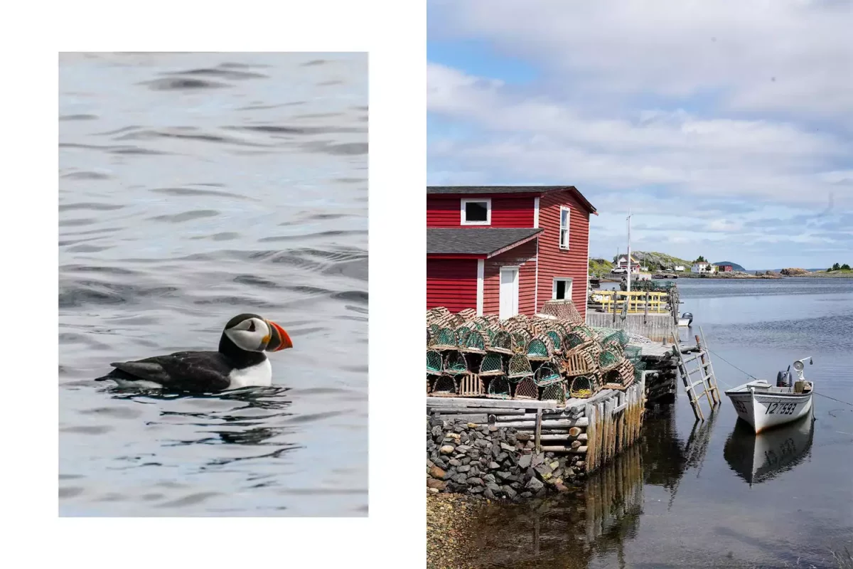 TAL-happy-adventure-newfoundland-01-HPPYADVNTR0923-2de556e5d16645f69344e12c370ba93d-1200x800 - Hemos encontrado en Canadá un pueblo que se llama “Aventura Feliz” y, efectivamente, es el paraíso de los amantes de las actividades al aire libre