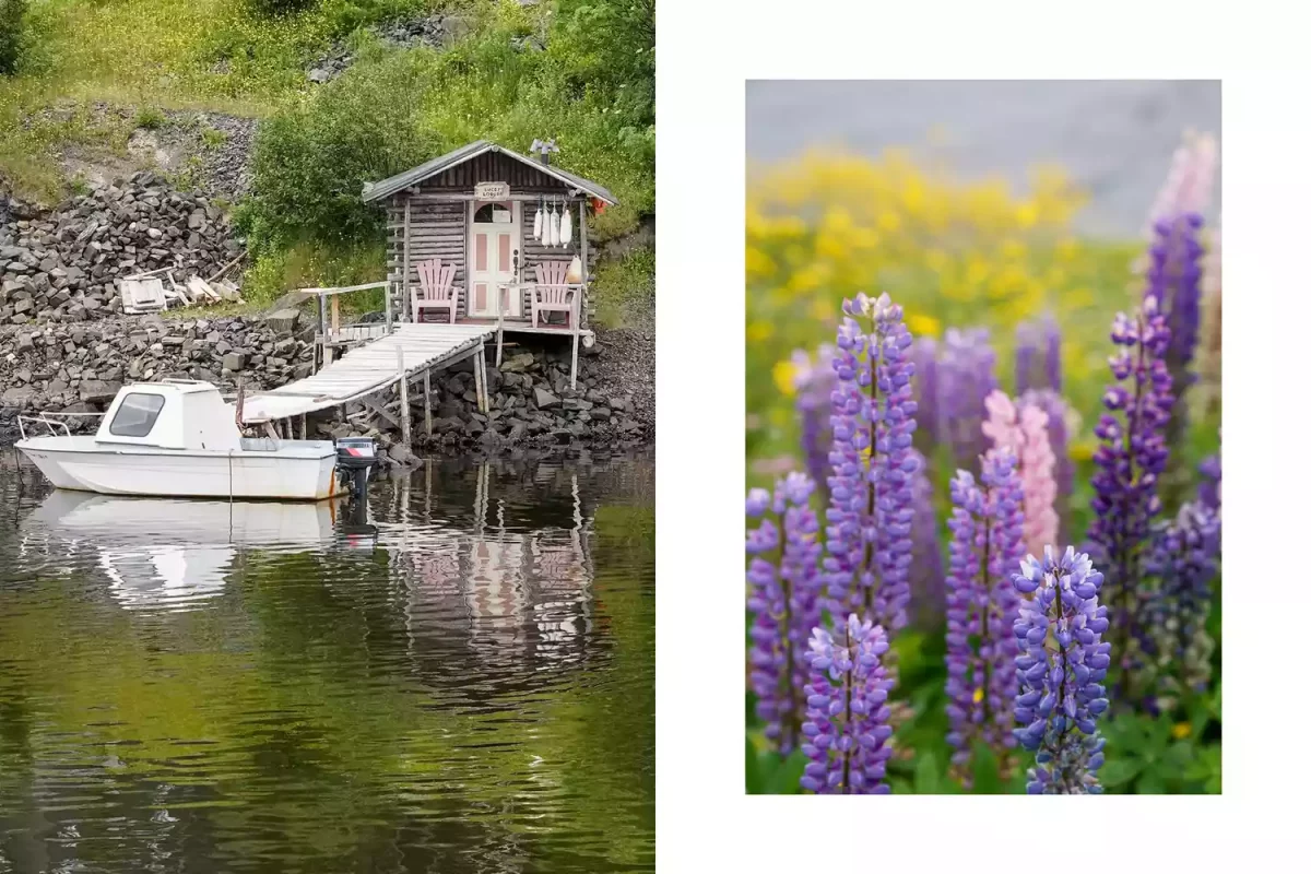 TAL-happy-adventure-newfoundland-02-HPPYADVNTR0923-6a6e44d75edf4b99b53102d85610f321-1200x800 - Hemos encontrado en Canadá un pueblo que se llama “Aventura Feliz” y, efectivamente, es el paraíso de los amantes de las actividades al aire libre