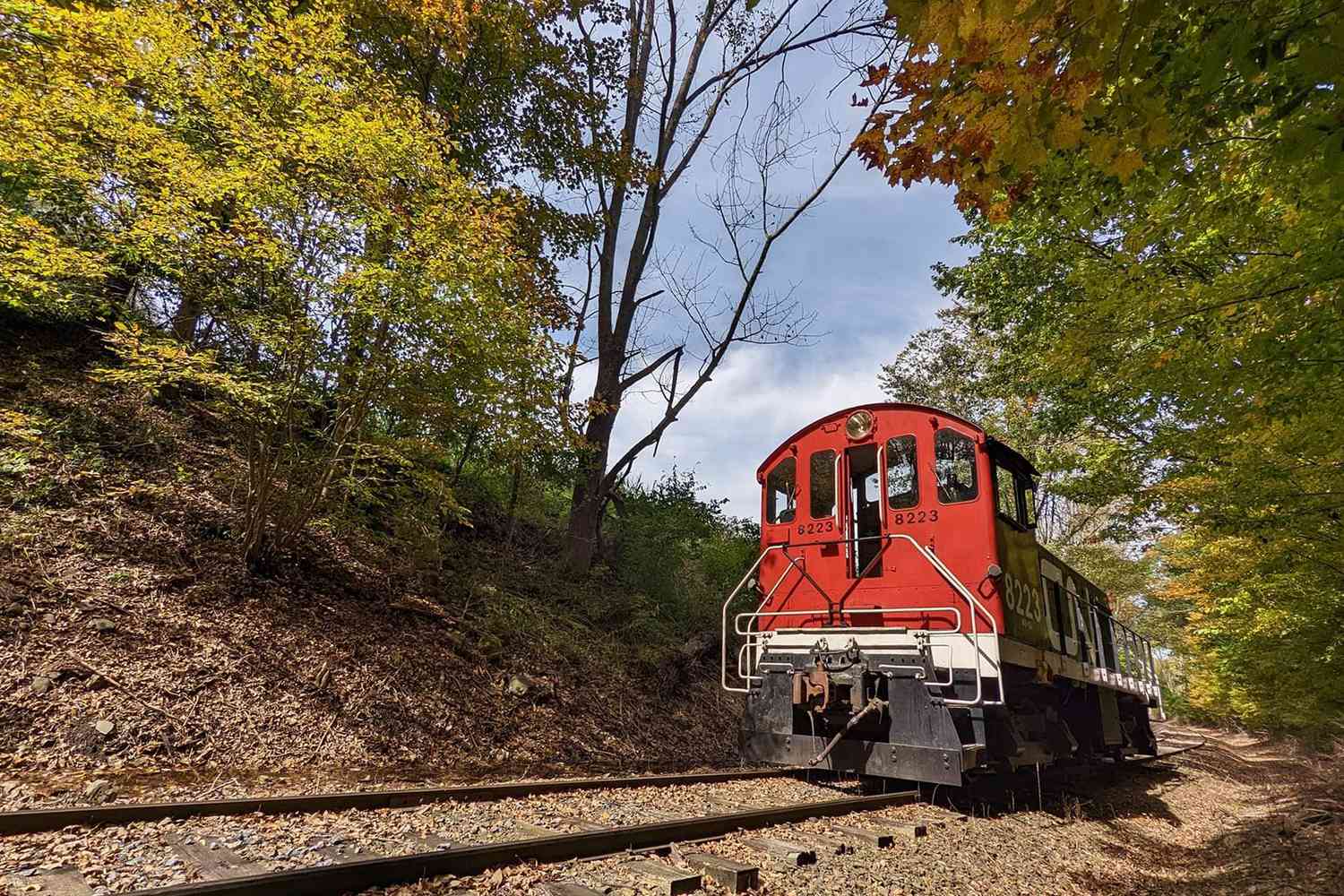 Este viaje en tren de 2 horas te llevará a través los mejores bosques otoñales del estado de Nueva York