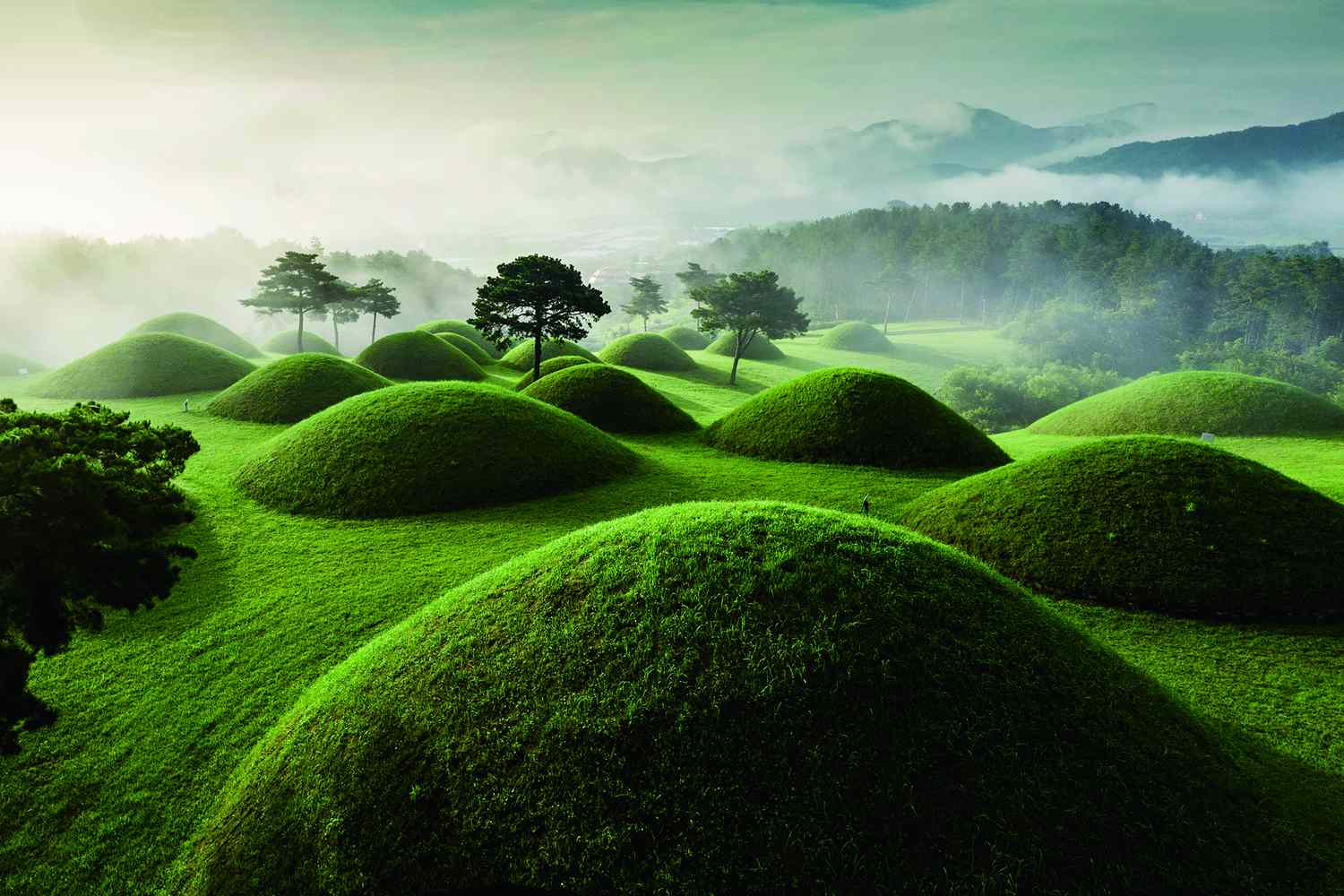 La UNESCO agrega 42 nuevos sitios al Patrimonio Mundial