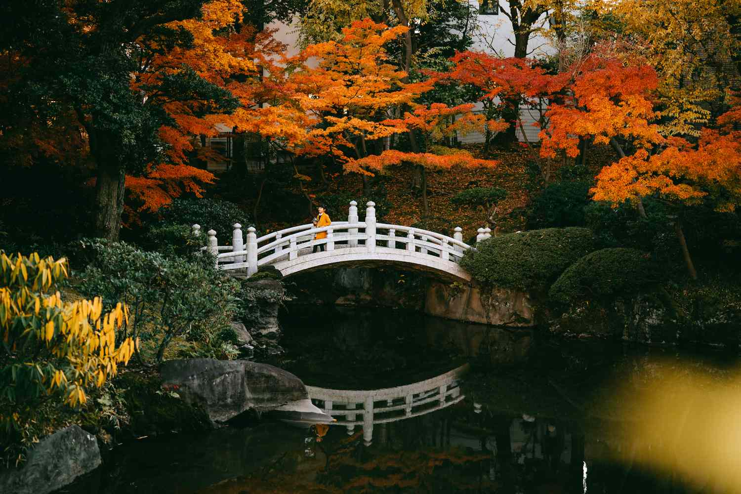 Te contamos por qué deberías viajar a Tokio durante estos meses