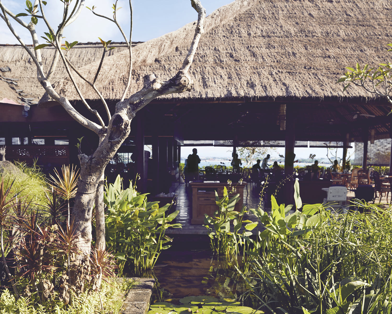 TAL0523FBA09 - Regreso a Bali: un reencuentro con la irresistible isla indonesia