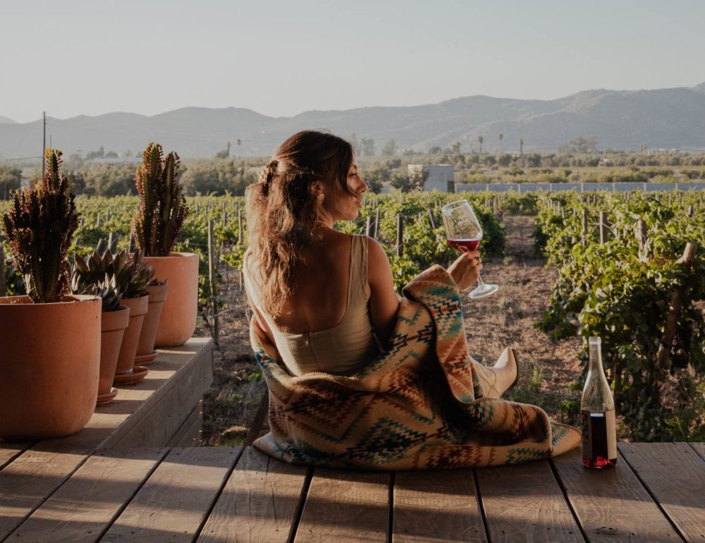 Valle de Guadalupe: una ruta por los cinco sentidos