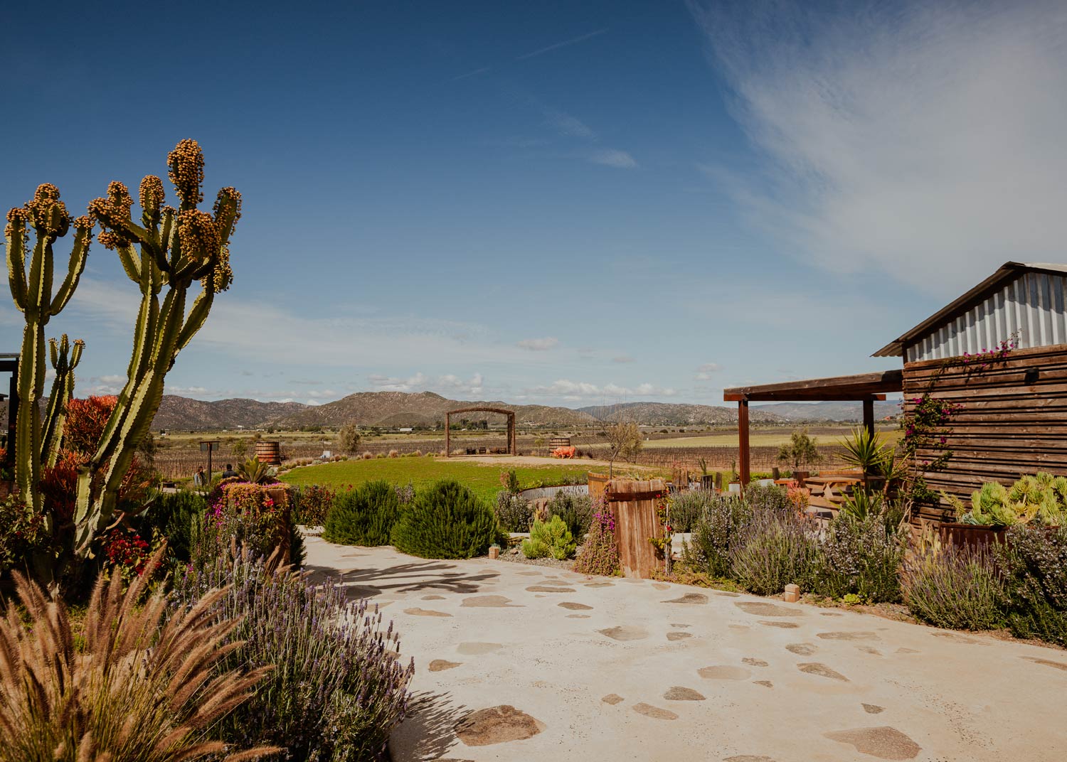 XPlascencia-VdG-3 - Valle de Guadalupe: una ruta por los cinco sentidos
