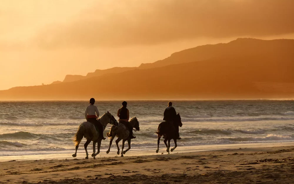 tarifa-european-DETOUR0316-02d54eb97be34c20a2b9d56110959bb8-1000x625 - 12 excursiones de un día desde 12  ciudades europeas con encanto