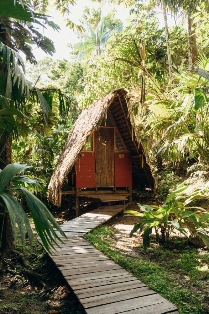 008_vdf6422-667x1000 - Un viaje espiritual a Calanoa, un hotel en el útero del Amazonas