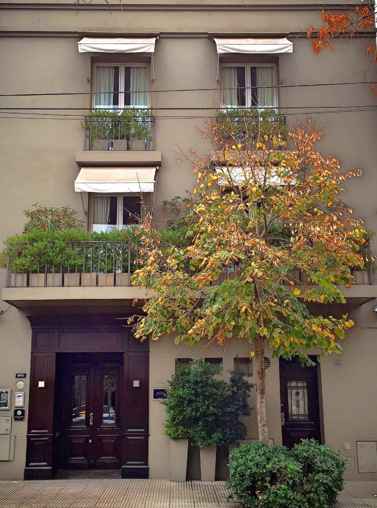 1-Espacio-Comunes-Legado-M°tico-Buenos-Aires-1-743x1000 - 5 hoteles boutique para hospedarte en Palermo