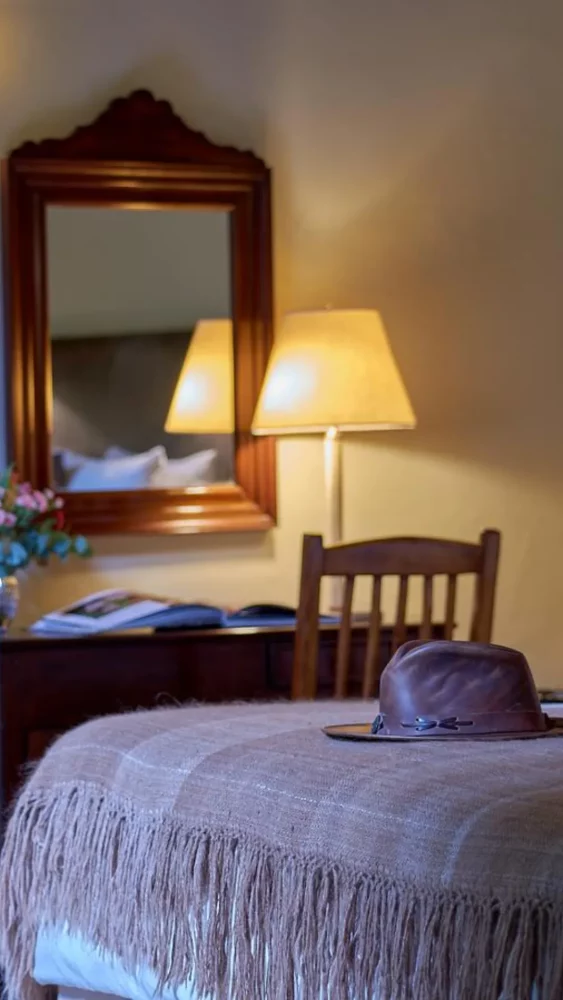 101-Francis-563x1000 - 5 hoteles boutique para hospedarte en Palermo