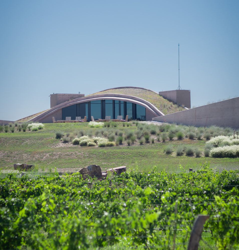  - Alpamanta, la bodega argentina fue reconocida mundialmente por sus prácticas sustentables