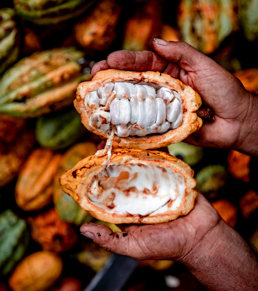 7309133-3-1-889x1000 - ¿A qué sabe el chocolate más costoso del mundo? 