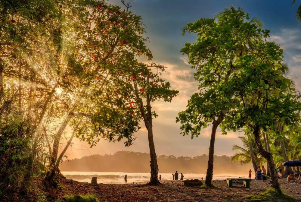Corcovad-National-Park-1000x670 - Qué visitar en Costa Rica, según los locales (más allá de los puntos turísticos convencionales)