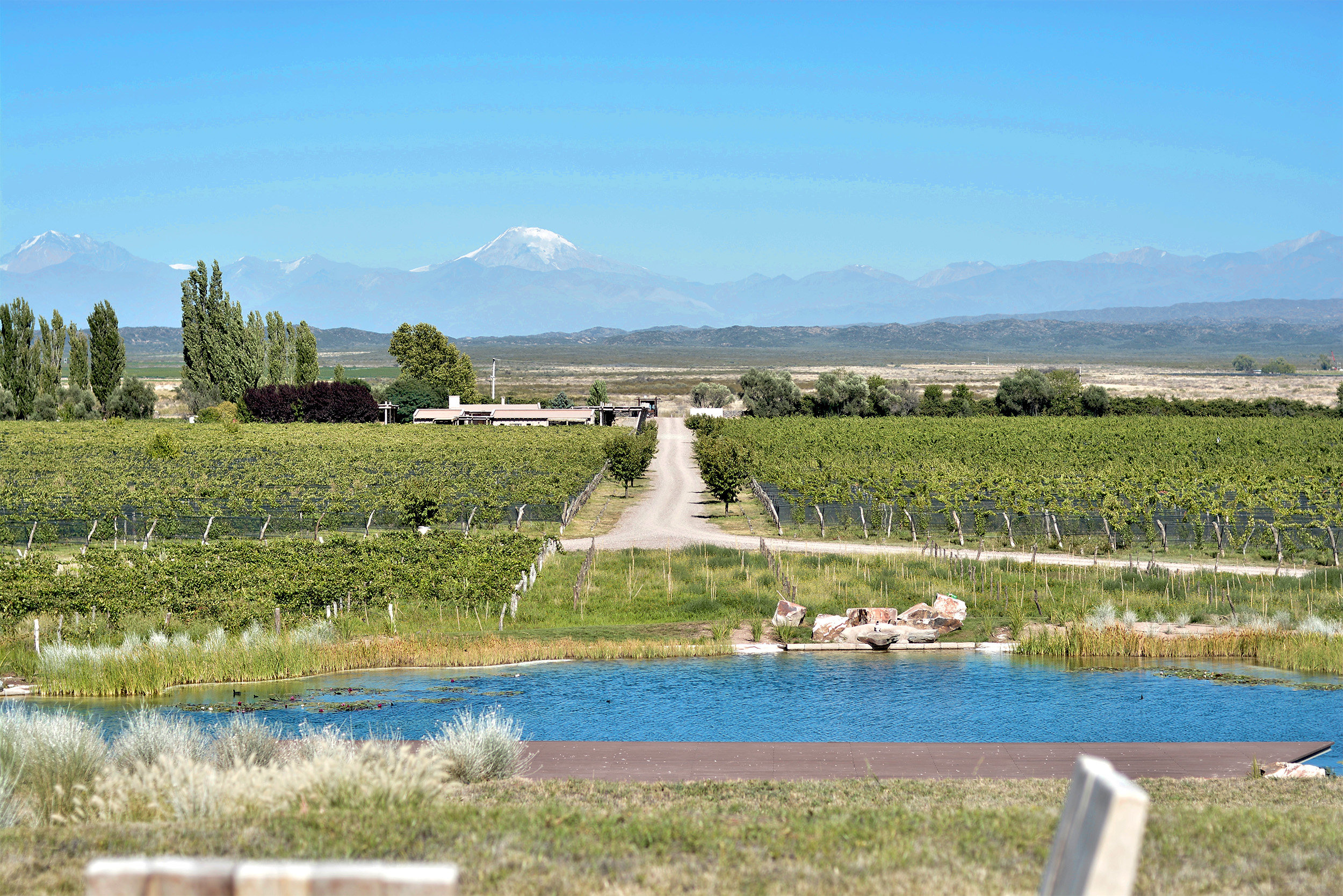 Alpamanta, la bodega argentina fue reconocida mundialmente por sus prácticas sustentables