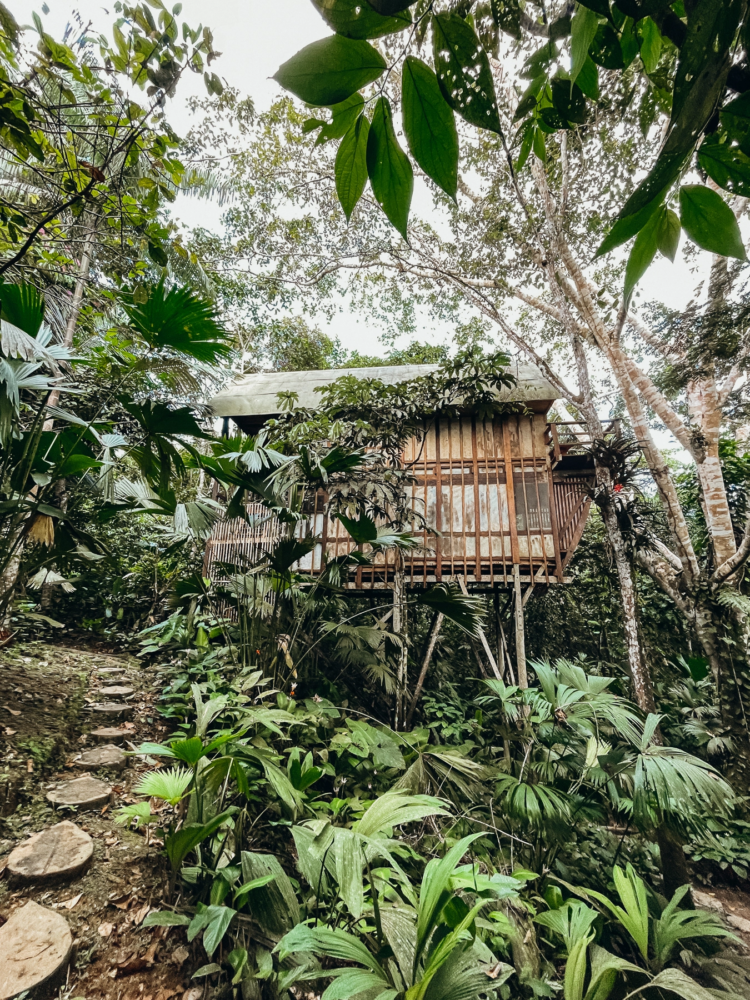 Hotel-Calanoa-Amazonas-6-750x1000 - Un viaje espiritual a Calanoa, un hotel en el útero del Amazonas
