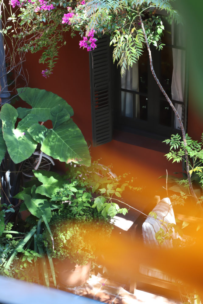 IMG_9228-667x1000 - 5 hoteles boutique para hospedarte en Palermo