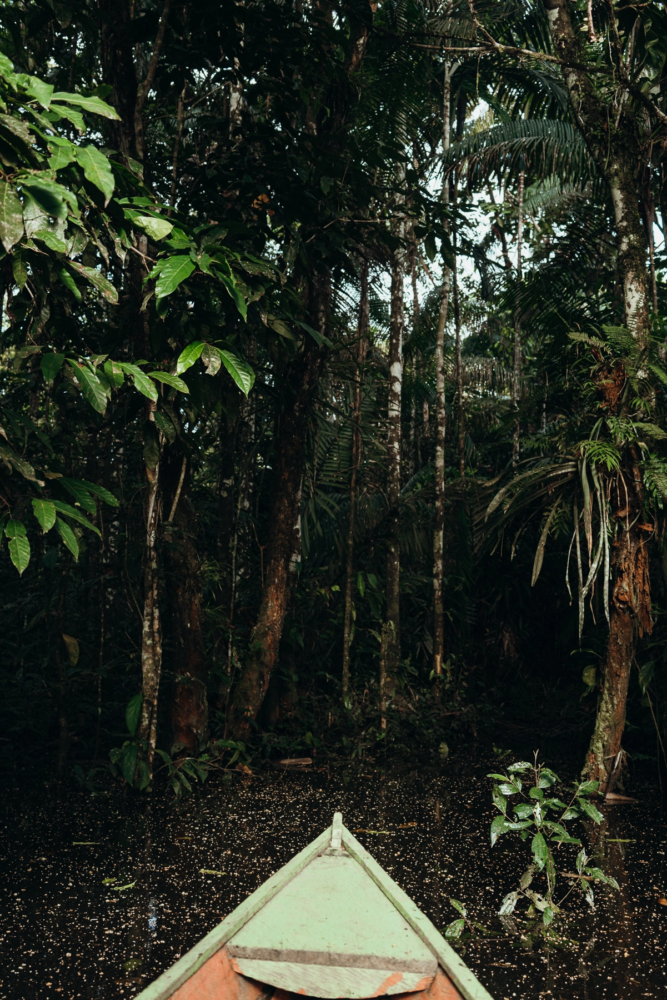 Leticia-Amazonas-3-667x1000 - Un viaje espiritual a Calanoa, un hotel en el útero del Amazonas