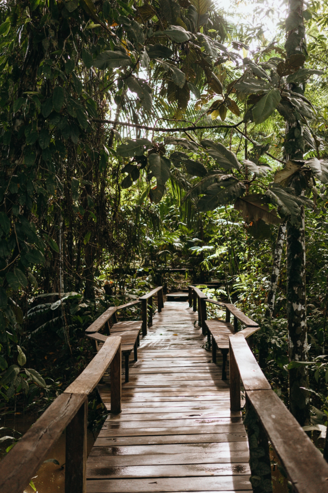 Leticia-Amazonas11-667x1000 - Un viaje espiritual a Calanoa, un hotel en el útero del Amazonas