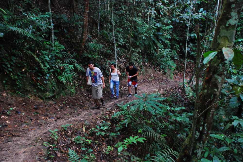 Pumarinri-Tarapoto.3-1000x669 - 3 alojamientos en Tarapoto para vivenciar la riqueza de la selva peruana