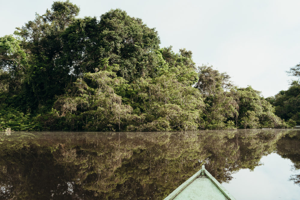 Un viaje espiritual a Calanoa, un hotel en el útero del Amazonas