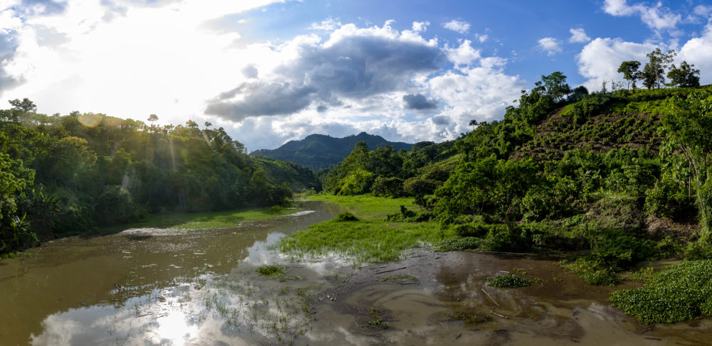 ToakAcopio-MarkFox-0077-1000x487 - ¿A qué sabe el chocolate más costoso del mundo? 