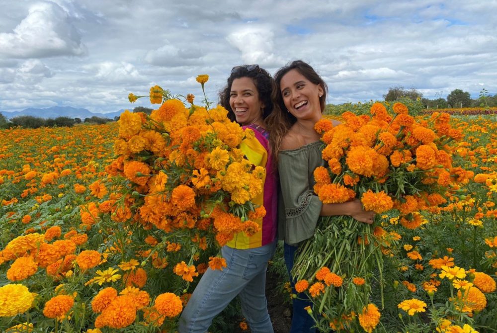campos-de-flores-1000x670 - Cempasúchil, un símbolo de vida y muerte en México 