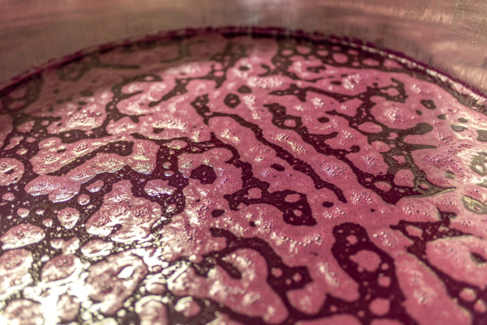 iStock-1341467527-1000x667 - Cómo leer la etiqueta de un vino (natural, orgánico o biodinámico)