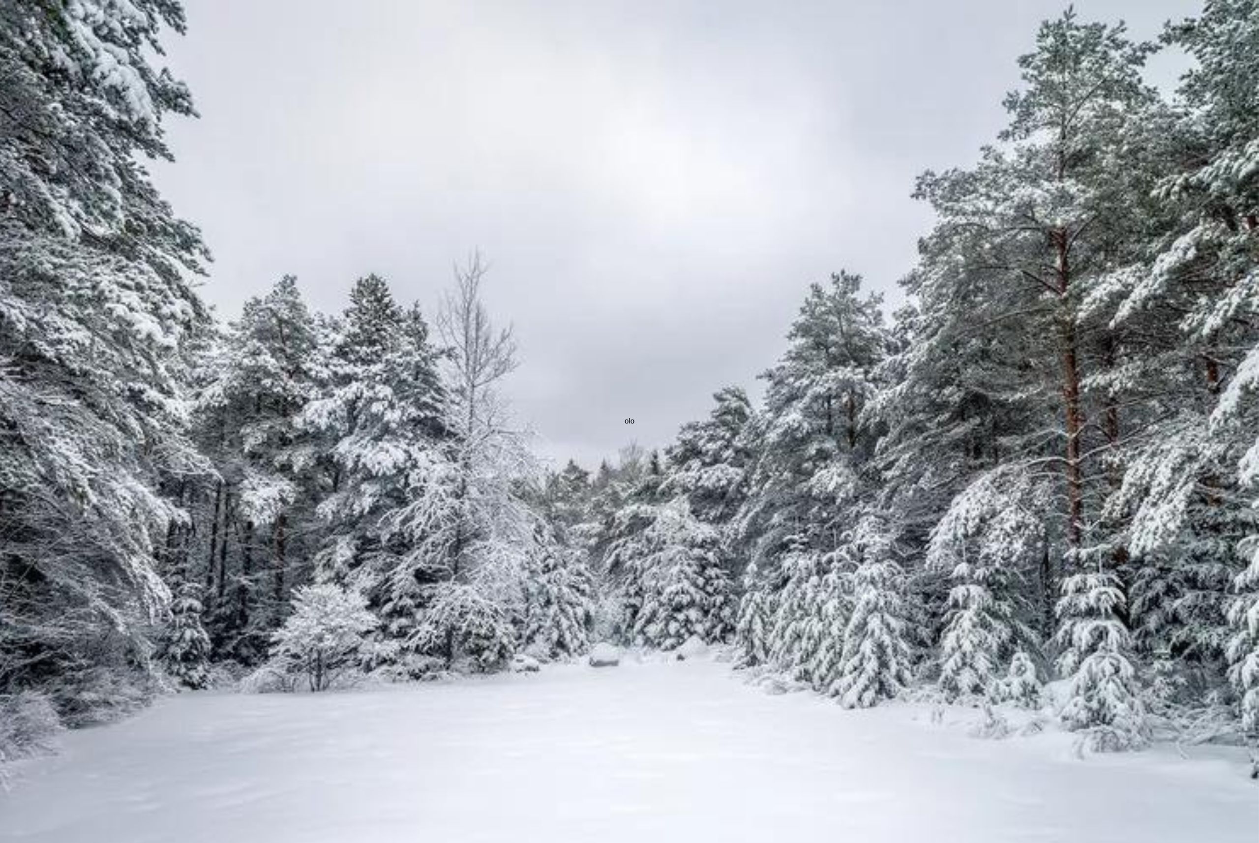 Viaja en el «Expreso Polar» en Nueva York durante esta temporada navideña