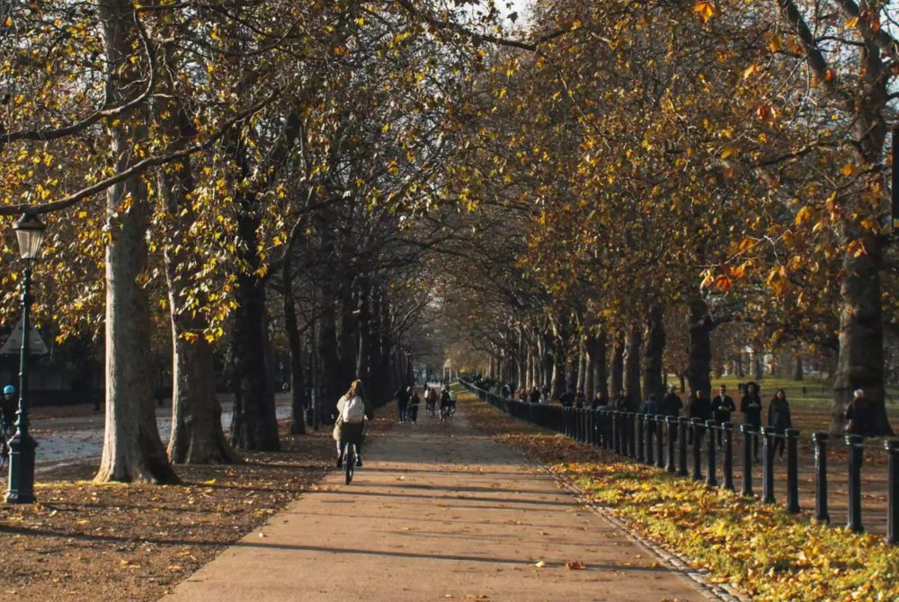 londres-otono-1000x670 - Los mejores momentos para visitar Londres, según expertos locales