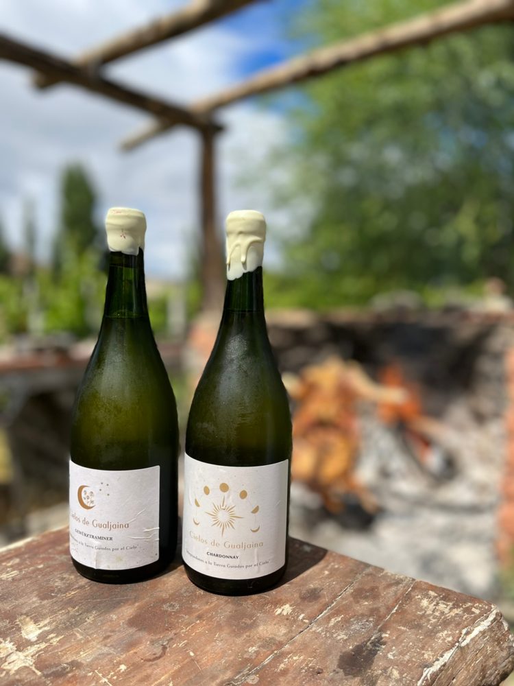 Cielos-de-Gualjaina-Cortesia-750x1000 - Guiados por cielos patagónicos: el descubrimiento de una nueva localidad vitivinícola en Argentina