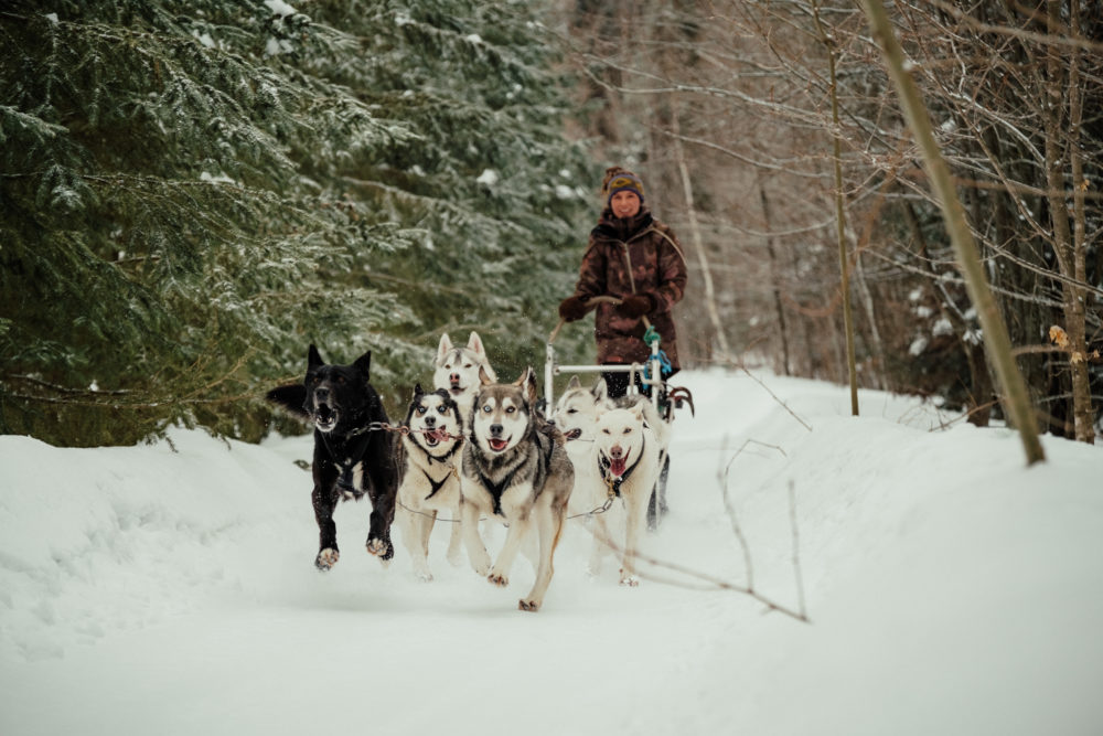 DC-QC-PourvoirieDuLac-Blanc-DSCF1553-1000x667 - 3 razones para visitar el este de Canadá durante el invierno