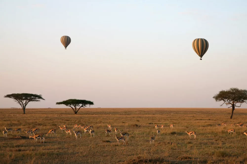 TAL-hot-air-balloon-ride-1000x667 - He trabajado en viajes de safari por más de 20 años: estos son los 4 Parques Nacionales en Tanzania a los que envío a los viajeros