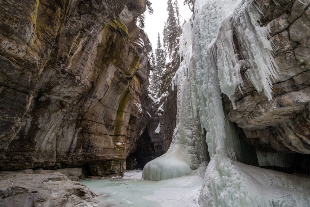 Cañón Maligne: un cañón mágico rodeado de impresionantes cascadas congeladas