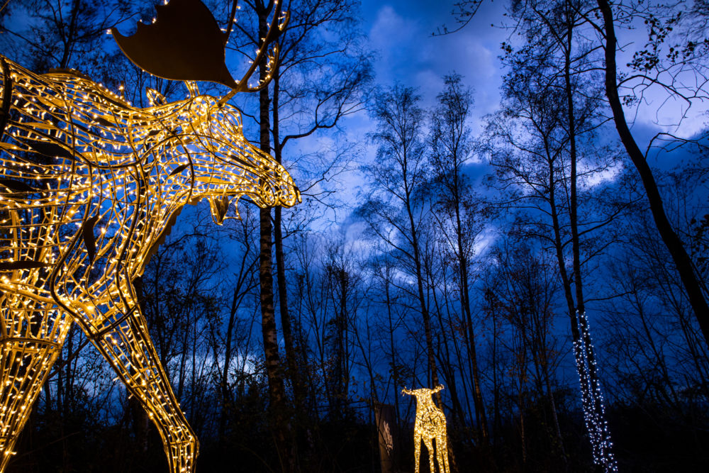 de_Huckelhoven_Lumagica_lightpark_58-1000x667 - Villas navideñas imperdibles para visitar esta temporada en México