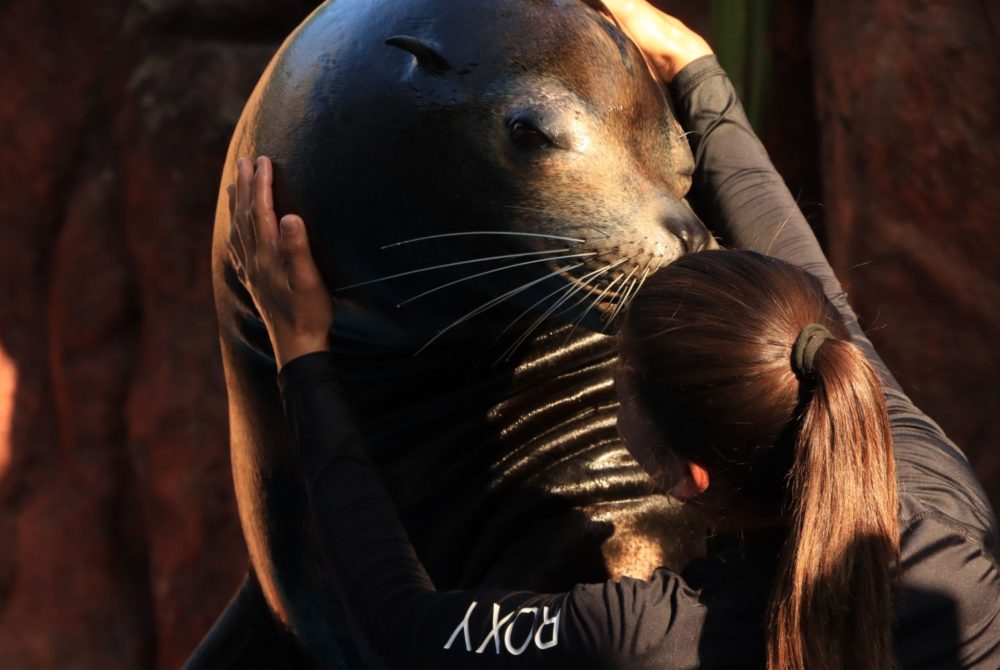 Gran Acuario Mazatlán, el más importante de Latinoamérica