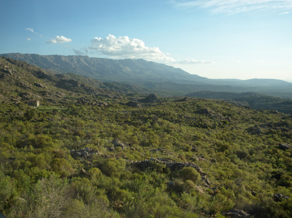 Viticultura en Córdoba, la “nueva” faceta de la provincia argentina