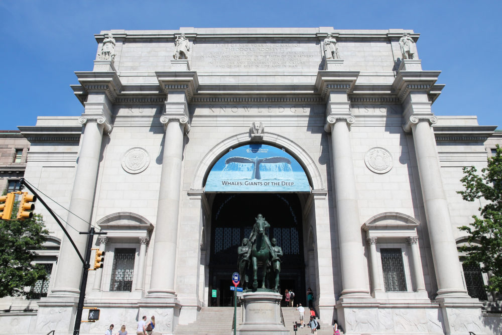 museo-de-historia-natural-nuva-york-1000x667 - Estos son los museos más buscados del mundo en 2023