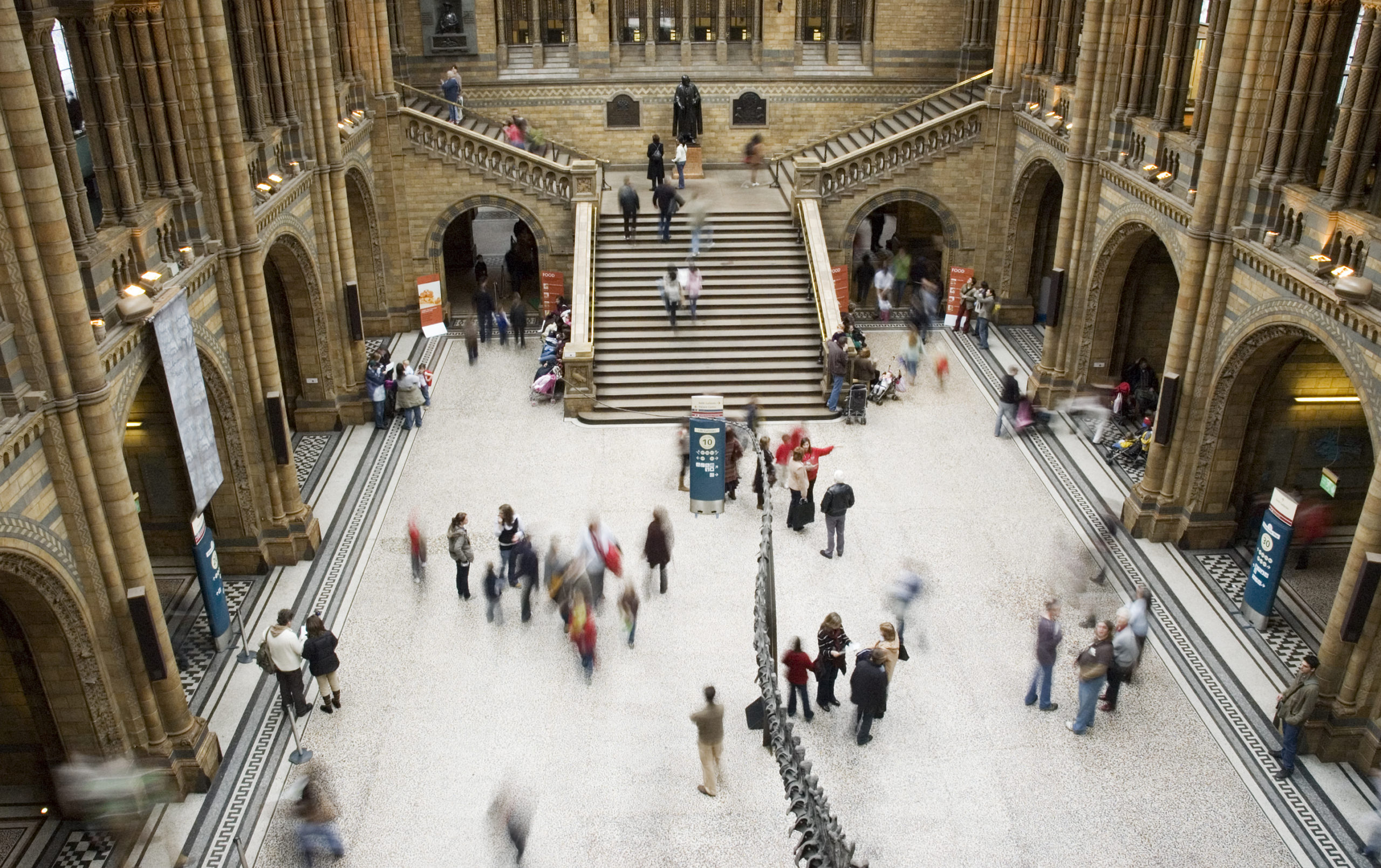 natural-history-museum-scaled - Estos son los museos más buscados del mundo en 2023