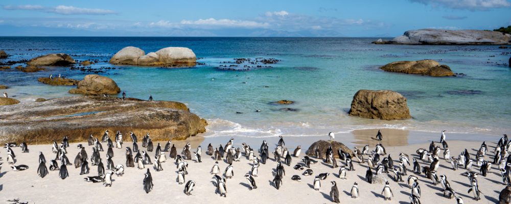 12 días de lujo inolvidable en Sudáfrica