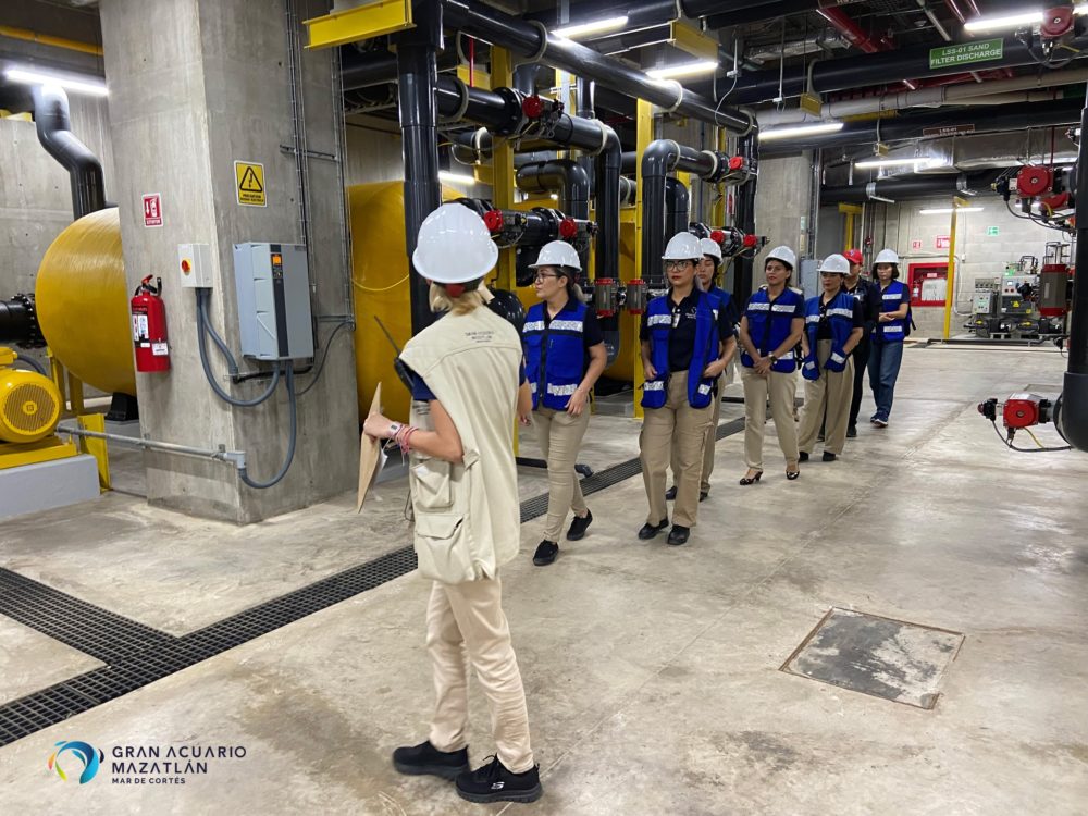 recorrido-acuario-1000x750 - Gran Acuario Mazatlán, el más importante de Latinoamérica