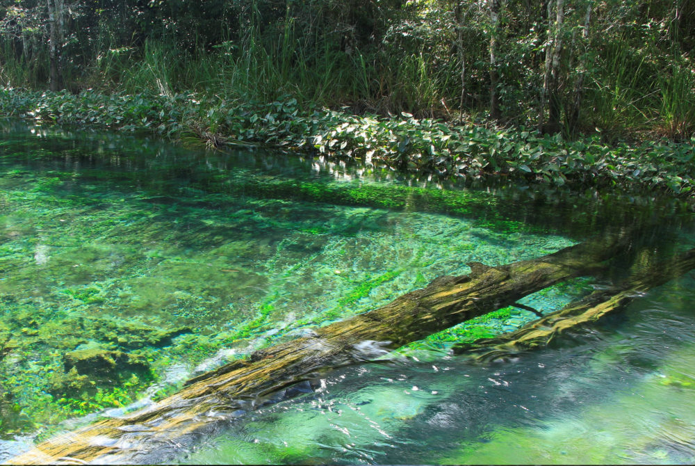 Aguas-Cristalinas-1000x670 - El asombroso pueblo con los manantiales vírgenes más coloridos de México