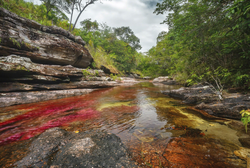 Es uno de los ríos más hermosos del mundo, está en Colombia y debes visitarlo una vez en la vida