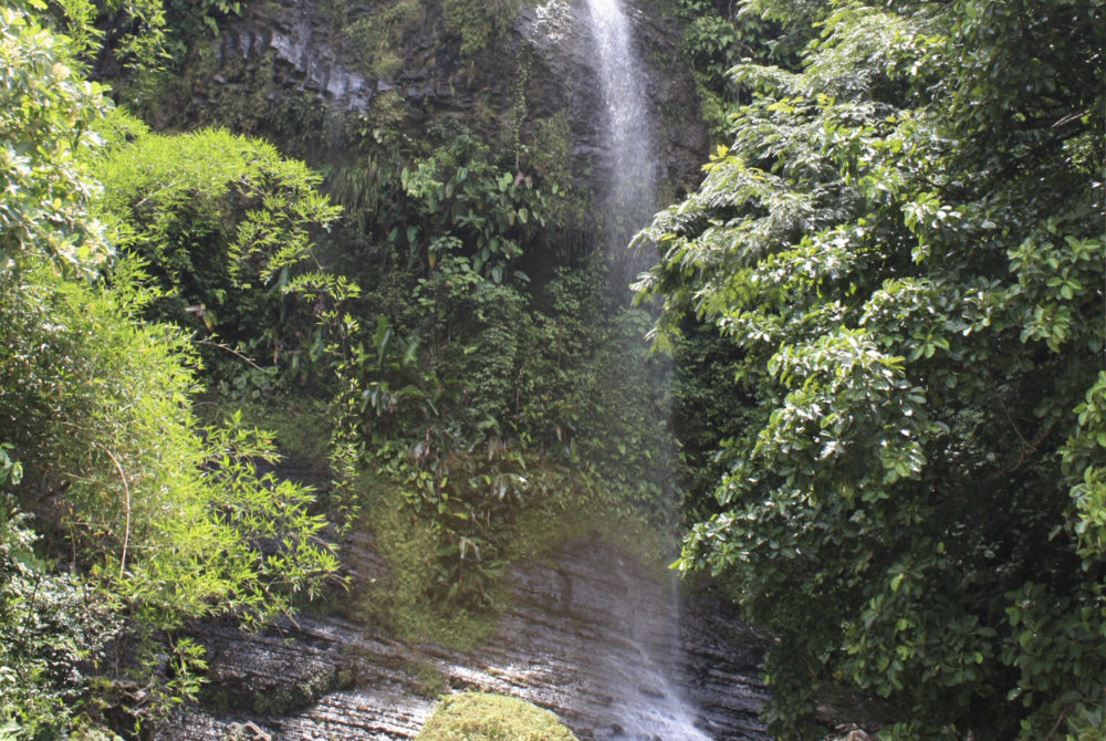 Cascada-Puebla-1000x670 - Las hermosas cascadas en Puebla que casi nadie conoce y son perfectas para una escapada