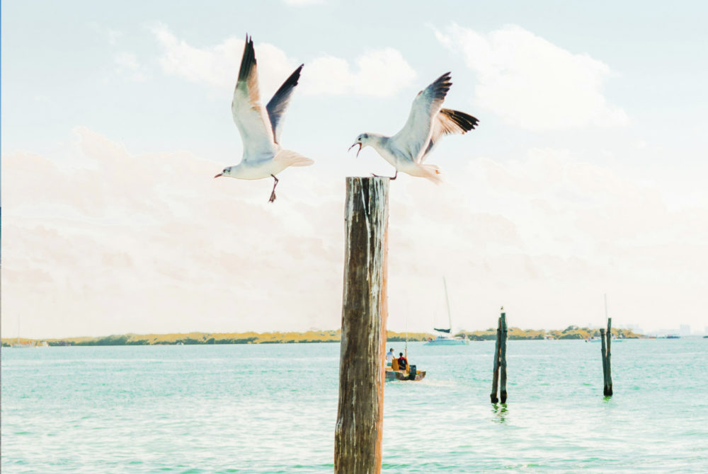 Ilustrativa-playa-1000x670 - La tranquila playa de Quintana Roo sin olas que es ideal para ir con los niños