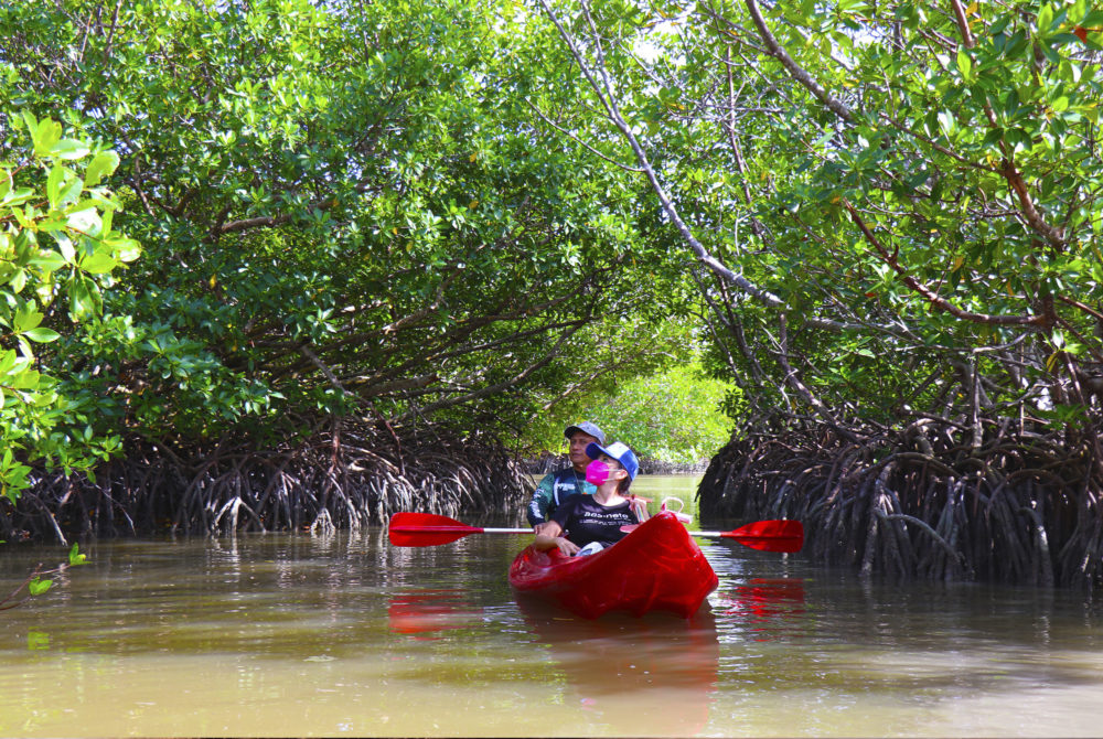 Isla-Aguada-1000x670 - La isla de Campeche que fue un refugio de piratas y tiene playas paradisíacas