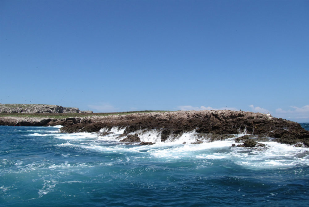Islas-Marietas-1000x670 - La increíble playa de México oculta en un cráter a la que solo se puede ingresar por 30 minutos