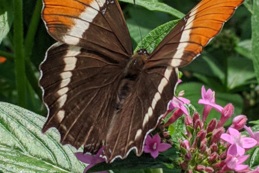 Jardin-Botanico-Medellin-1000x670 - Guía de viaje: 7 lugares únicos para descubrir en Medellín