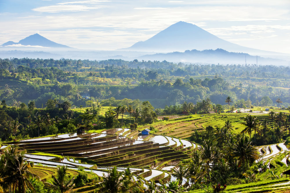 Jatiluwih-Bali-1000x667 - Recorre 15 de los pueblos cafeteros más auténticos del mundo