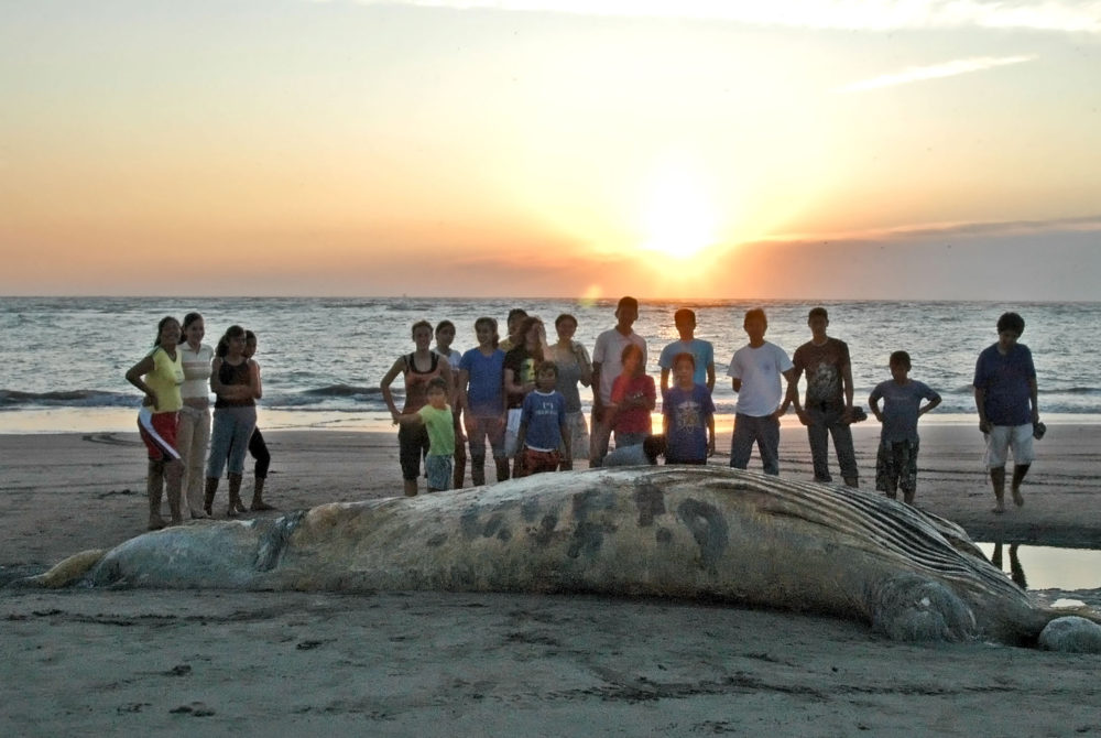 Molusco-Gigante-Teacapan-1000x670 - 3 playas de México para disfrutar en enero